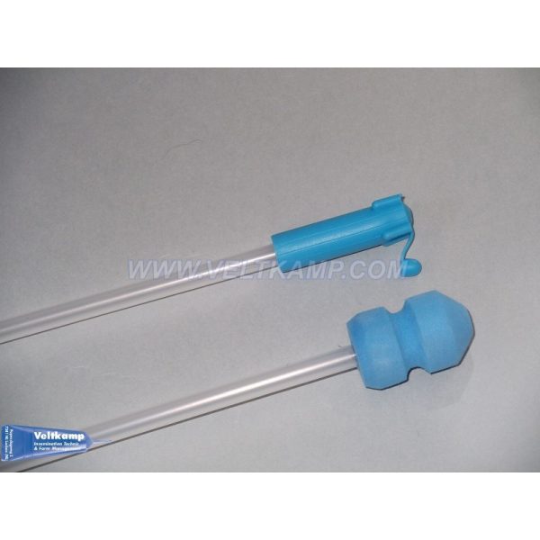 Catheters Foam tip - Image 2